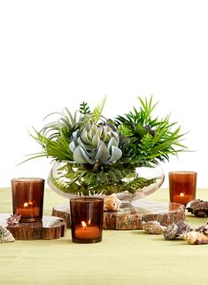 an arrangement of plants and candles on a table