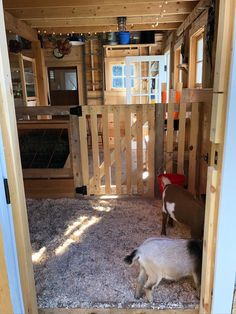 two goats are standing in the doorway of a small house with wooden walls and doors