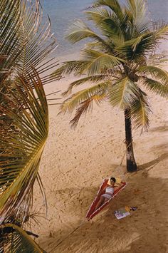 a man laying in a hammock on the beach next to a palm tree