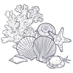 seashells and starfish on the seabed with coral reef illustration in black and white