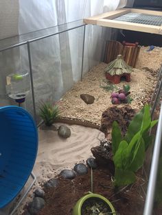 an indoor garden with plants and rocks in the ground, including succulents