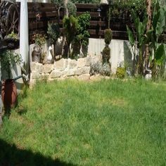 an outdoor area with grass, rocks and potted plants on the side of it