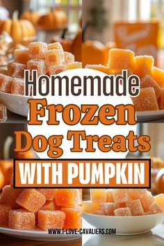 homemade frozen dog treats with pumpkins in the background and text overlay that reads homemade frozen dog treats with pumpkin