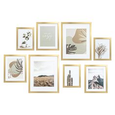 a set of nine framed photographs with gold frames