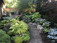 a garden with lots of green plants and rocks in the foreground, next to a house