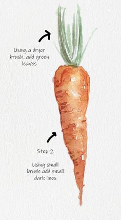 a drawing of a carrot with the words, using a drier brush, add green leaves