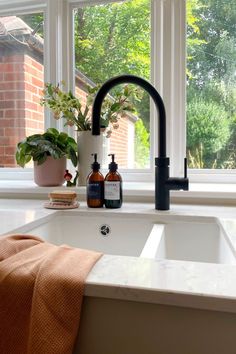 a kitchen sink under a window next to a potted plant and soap dispenser