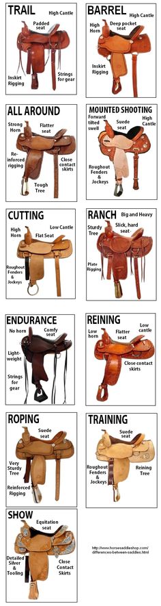 the different types of saddles and their names are shown in this diagram, which shows how