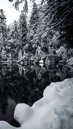 a pond surrounded by snow covered trees in the middle of winter with water reflecting it