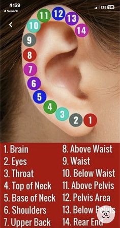 Pressure Point Therapy, Acupressure Therapy, Reflexology Chart, Foot Reflexology, Home Health Remedies, Health Knowledge