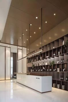 an empty white counter in a large room with shelves on the wall and plants hanging from it