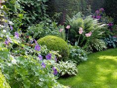 a lush green garden with purple flowers and plants in the center, surrounded by greenery