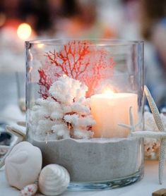 a candle that is sitting inside of a glass container with corals and starfish