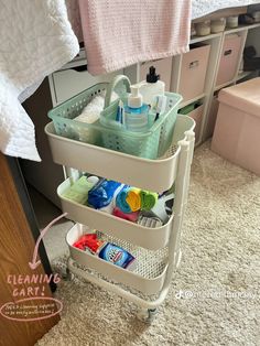 a bathroom caddy with cleaning products and toiletries in it on the carpeted floor