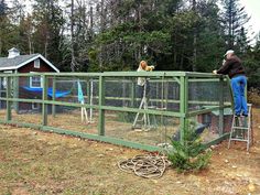 a man standing on top of a green fence next to a chicken coop with chickens in it