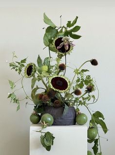 an arrangement of flowers and leaves in a vase on top of a white block with green foliage