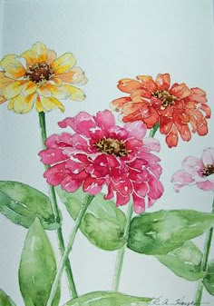 watercolor painting of three colorful flowers with green leaves