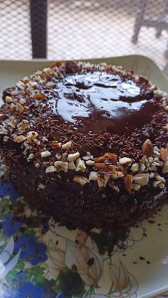 a chocolate cake sitting on top of a plate covered in nuts and chocolate frosting