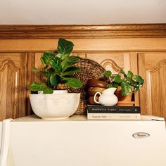 there is a potted plant on top of the refrigerator and some books in front of it