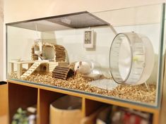 a hamster in its cage inside of a house