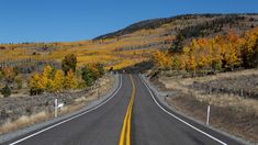 an empty road with yellow and orange trees in the background