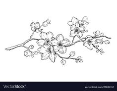 an ink drawing of flowers on a branch