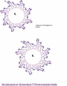 the diagram shows two different types of circular structures