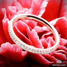 two wedding rings sitting on top of a red flower