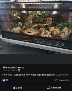 an aquarium with rocks and plants in it