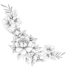 a black and white drawing of flowers with leaves on the bottom half of each flower