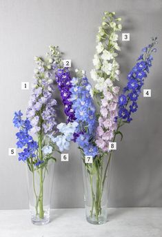 three vases with different types of flowers in them and numbers on the bottom one