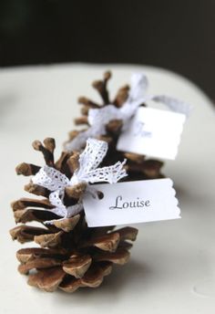 a pine cone with a name tag attached to it