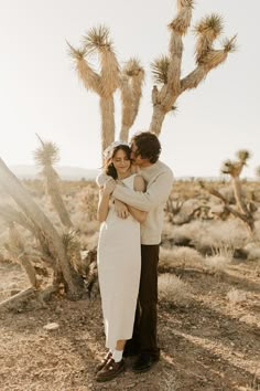 a man and woman embracing in front of a joshua tree with the sun shining on them