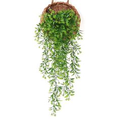 a plant hanging from the side of a wall next to a wicker basket filled with green leaves