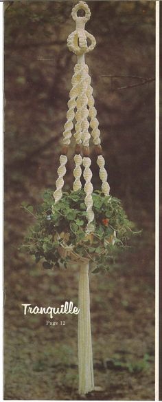 an image of a tree with flowers hanging from it's branches and the words tranquillie written below