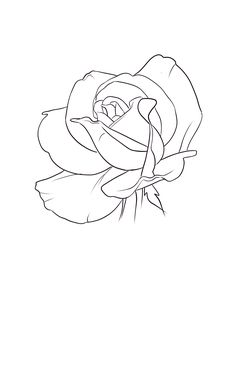 a black and white drawing of a rose