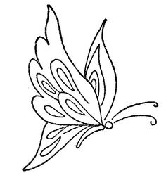 a drawing of a butterfly on a white background