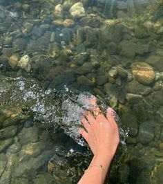 a person's hand reaching for something in the water near some rocks and grass