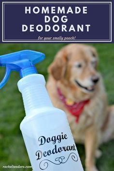 a bottle of dog deodorant next to a brown dog on the grass