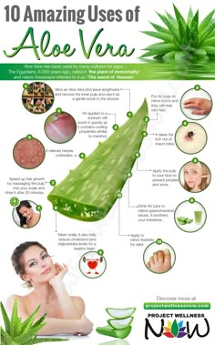 Uses Of Aloe Vera, Benefits Of Aloe Vera, Aloe Vera Benefits, Aloe Vera For Skin, Aloe Vera Skin Care, Brown Spots Removal, Valerian, Healing Herbs