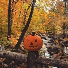 a carved pumpkin sitting on top of a log in front of a river surrounded by trees