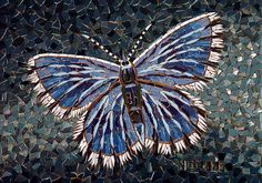 a blue and white butterfly sitting on top of a mosaic wall