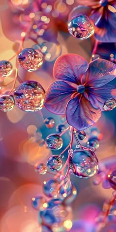 an image of flowers and bubbles in the air with water droplets on it's petals