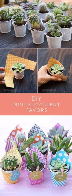 several pictures of small potted plants on a table with paper napkins in them