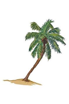 a drawing of a palm tree in the sand