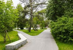 a paved path in the middle of a park