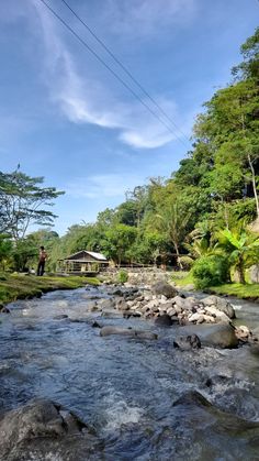 a river running through a lush green forest filled with lots of trees and rocks under a blue sky