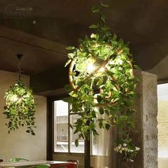 some plants are hanging from the ceiling in a dining room with chairs and a table