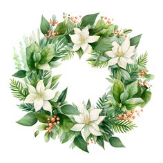 a christmas wreath with white flowers and green leaves on a white background, watercolor illustration