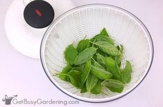 a white bowl filled with green leaves next to a blender